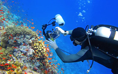 Scuba diver photographing coral reef and fish in Red Sea, Hurghada.