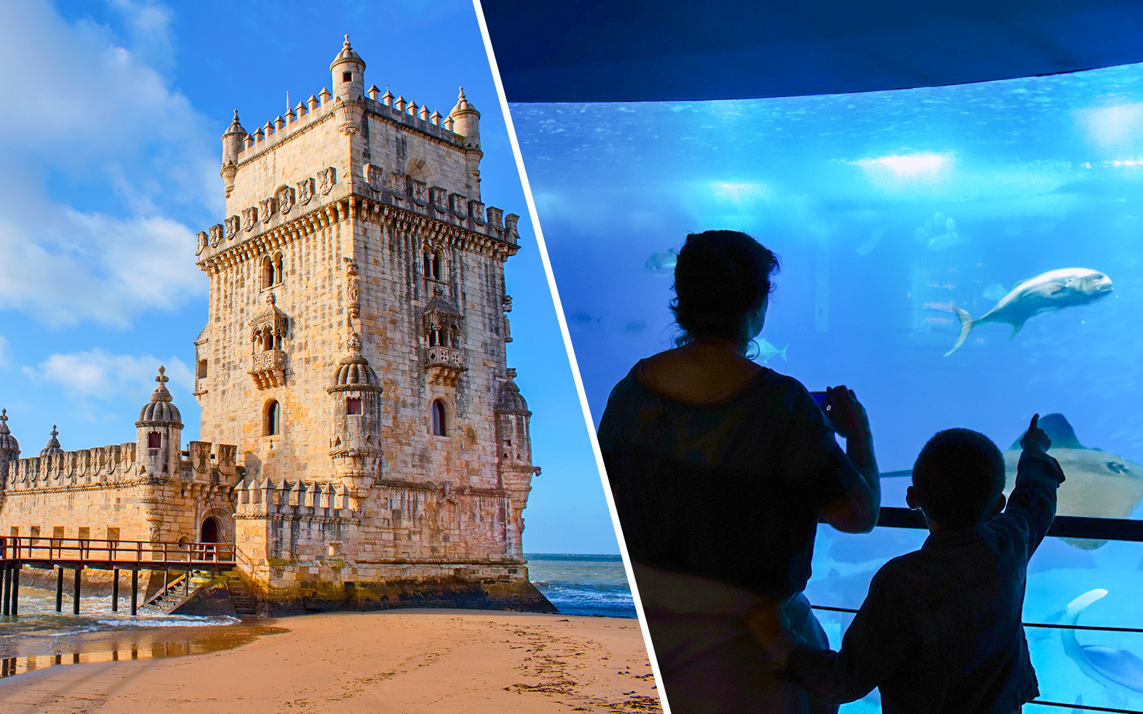 Biglietti combinati Oceanário di Lisbona