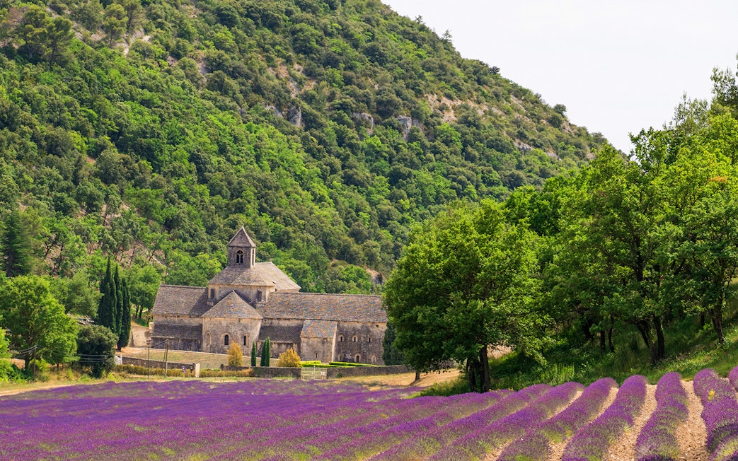 Lavender fields in bloom with a historic stone abbey in Provence, France.