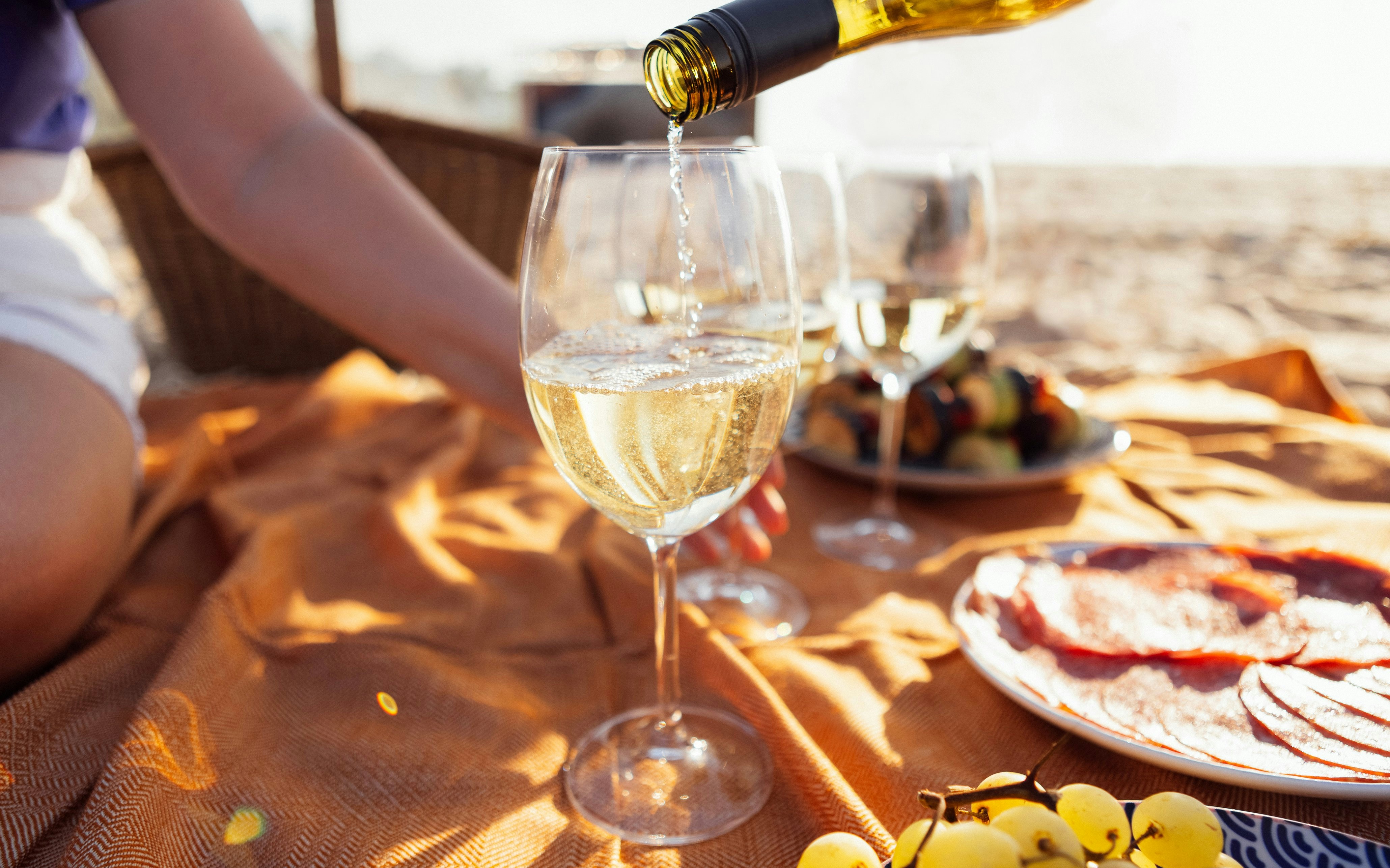 picnics by the ocean