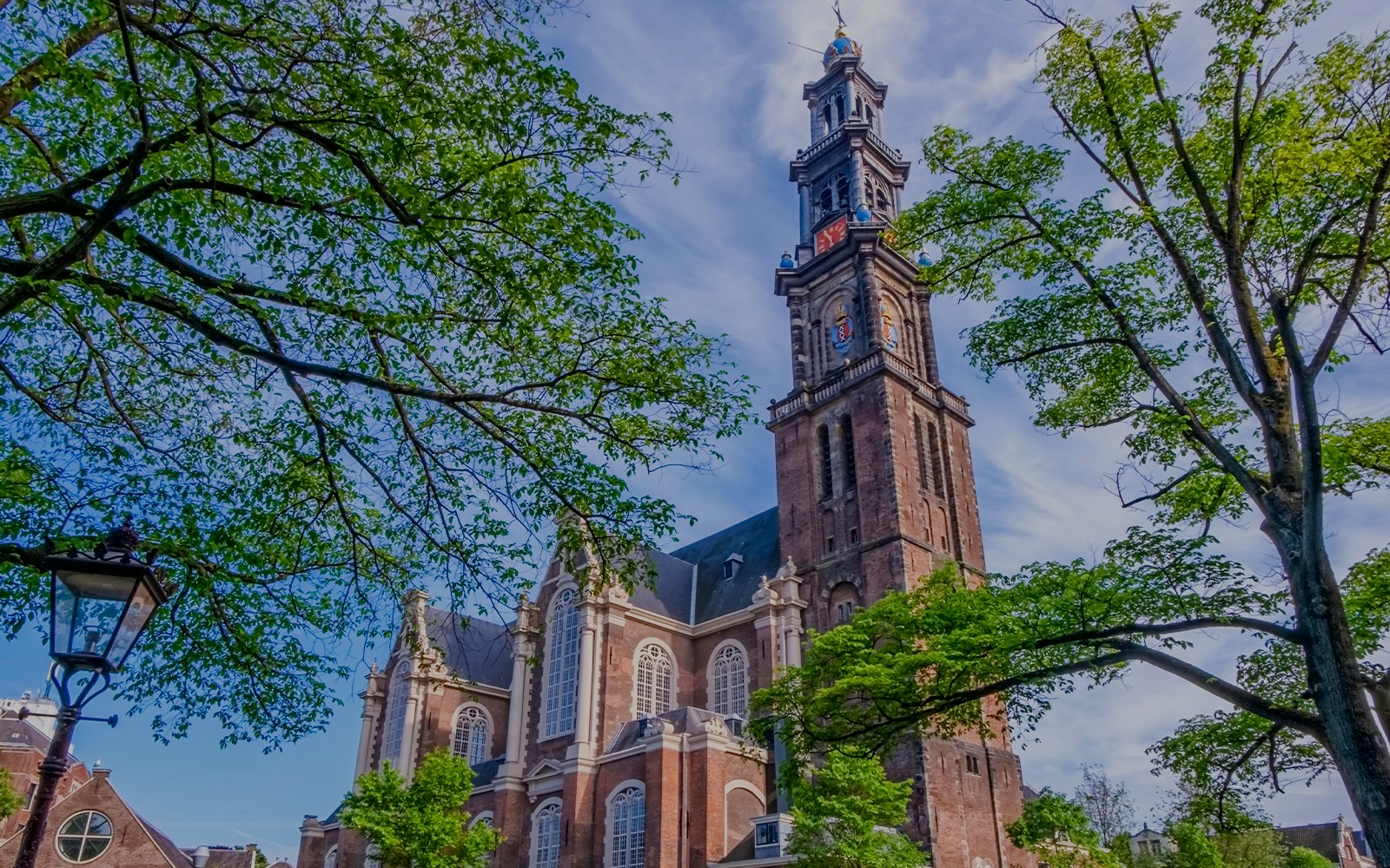 Westerkerk church tower surrounded by trees in Amsterdam.