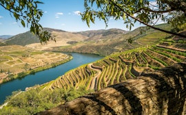 Quinta das Carvalhas