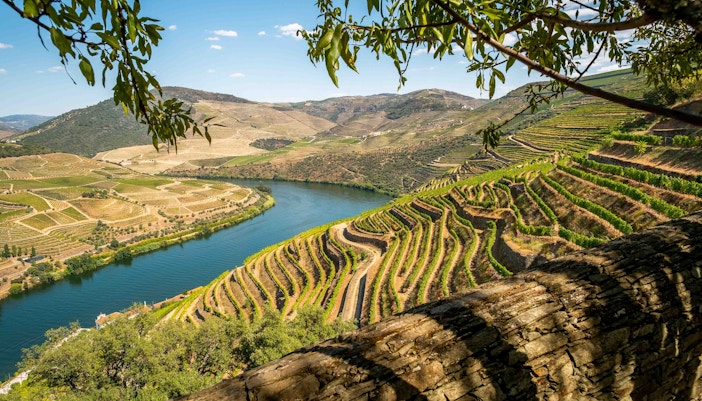 Terraced vineyards along the Douro River in Douro Valley, Portugal.