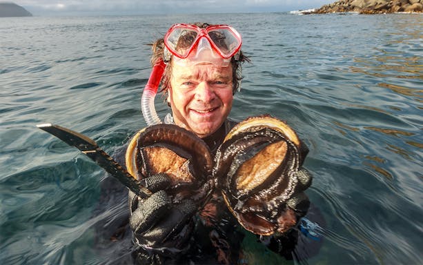 Snorkeler holding fresh abalone in Tasmanian waters during Seafood Seduction tour.