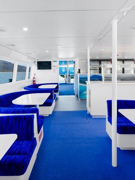 Interior of a cruise boat with blue seating, large windows showing ocean views near Airlie Beach.