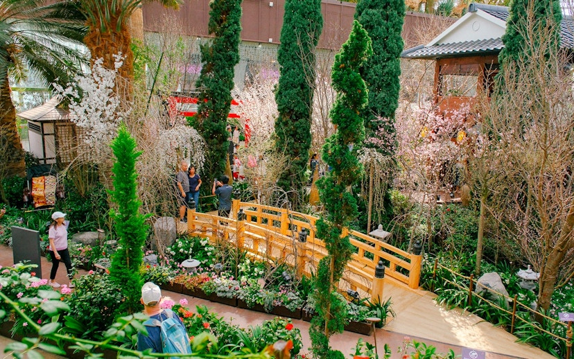 Gardens by the Bay Sakura event with visitors on a wooden bridge surrounded by cherry blossoms.