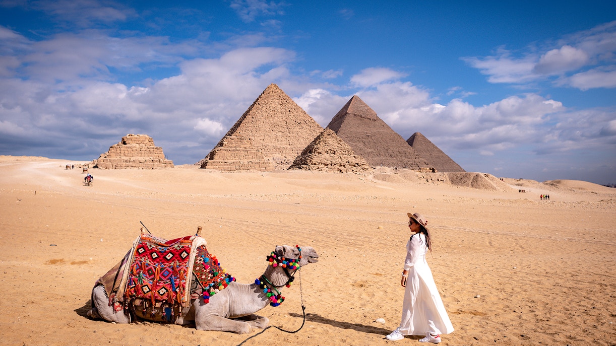 Cairo Tower rising above lush greenery in Cairo, Egypt.