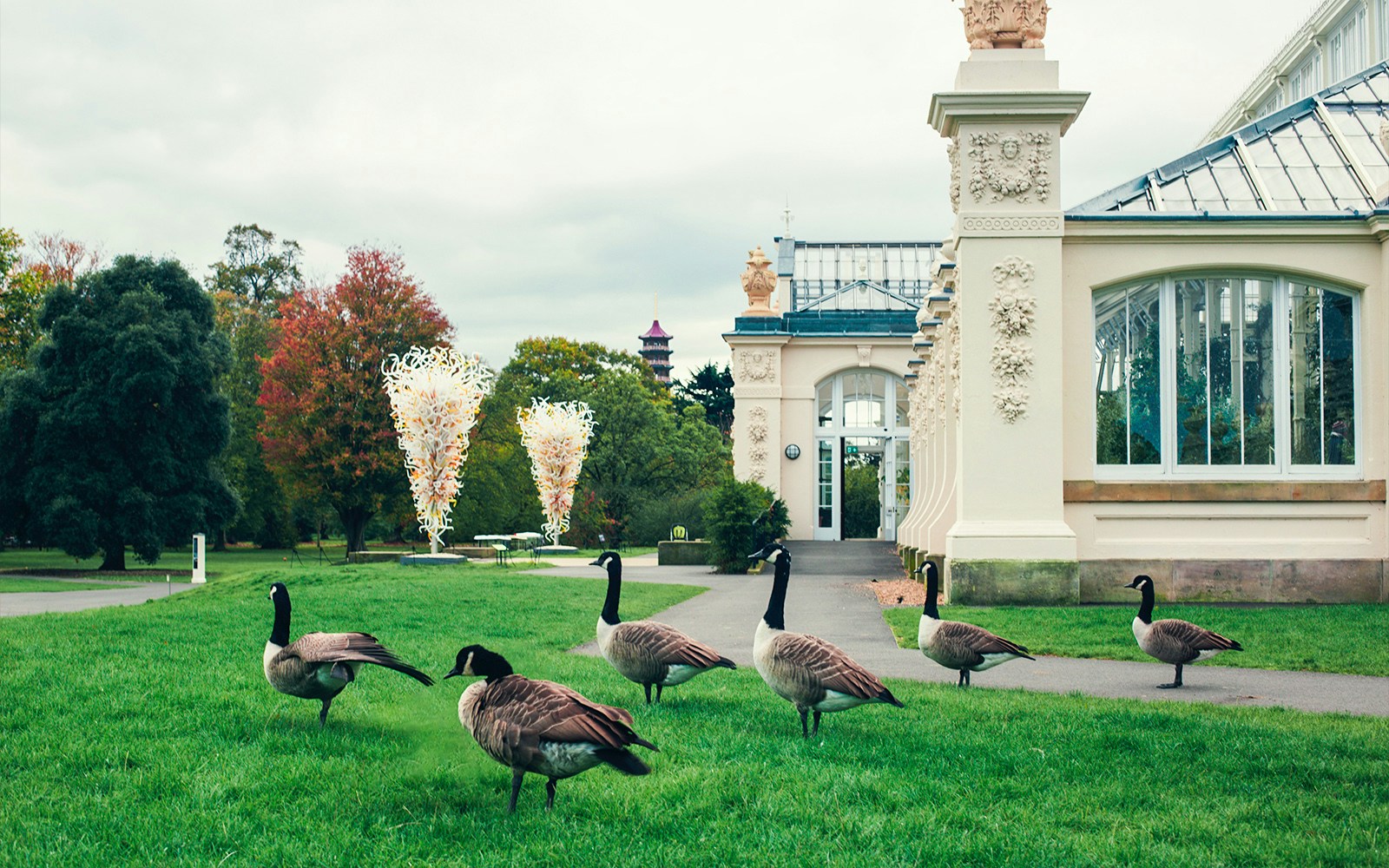 Marianne North Gallery