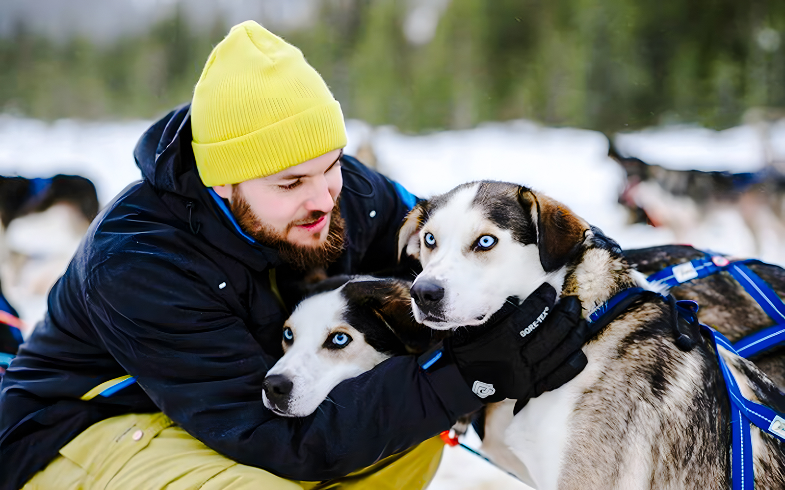 Man with huskies at Santa Claus Village, Finland.