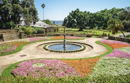 sydney in december - Royal Botanic Garden