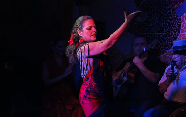 Flamenco dancer performing with musicians during El Toro y la Luna show.