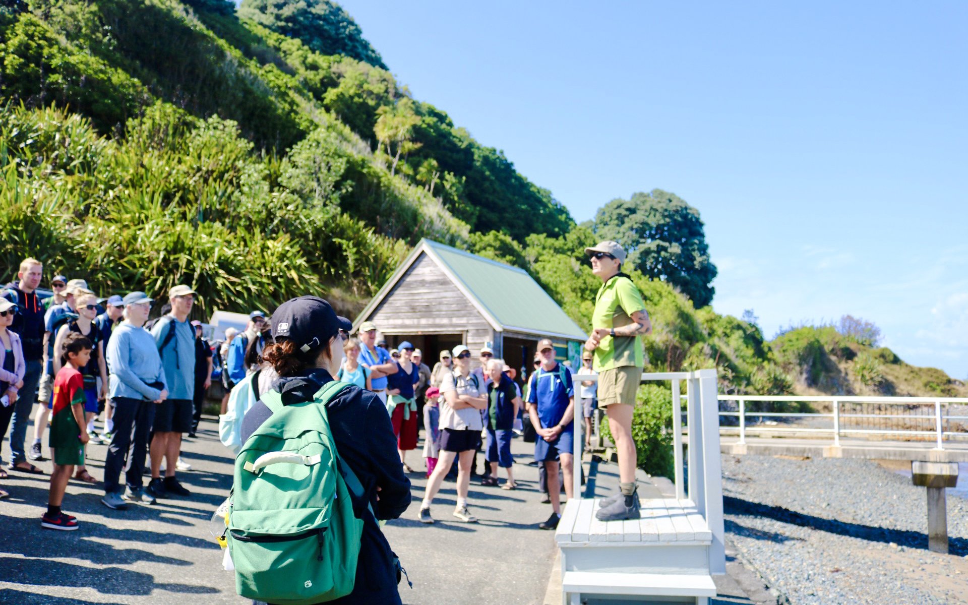Tour guide addressing visitors on Tiritiri Matangi Island, New Zealand, near a wooden shelter.