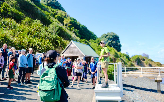 Tour guide addressing visitors on Tiritiri Matangi Island, New Zealand, near a wooden shelter.