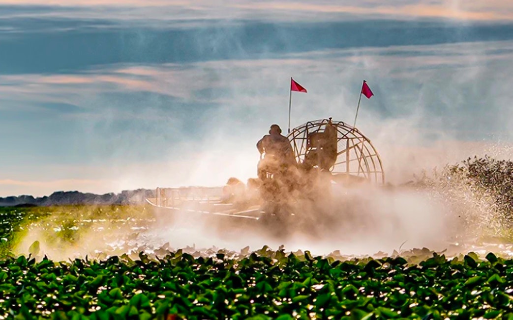 Guests on an airboat ride during Boggy Creek 1 Hour Sunset Airboat Tour.