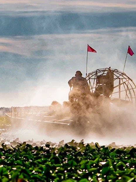 Guests on an airboat ride during Boggy Creek 1 Hour Sunset Airboat Tour.