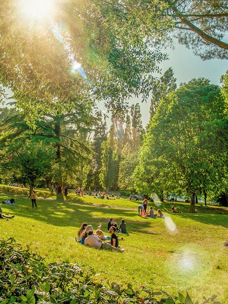 People enjoying a picnic on a sunny day at Villa Borghese, Rome.