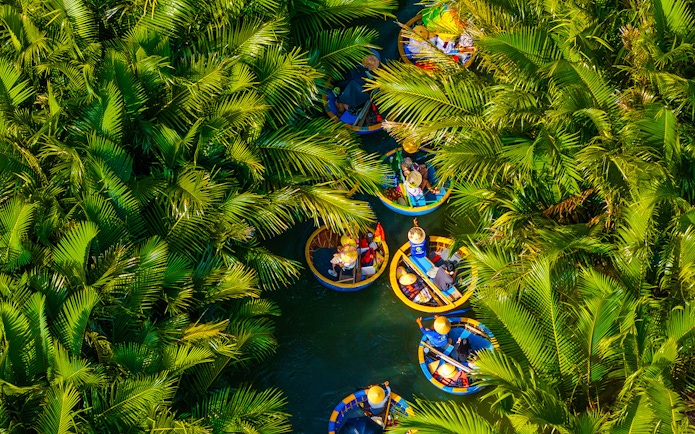 Aerial view of tourists in round basket boats navigating through lush coconut palms.