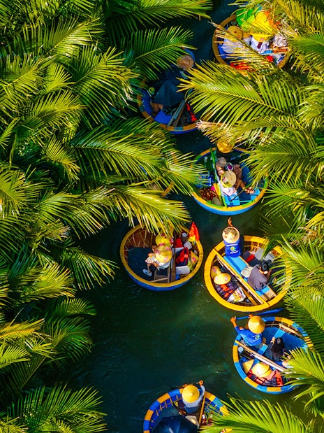 Aerial view of tourists in round basket boats navigating through lush coconut palms.