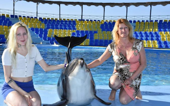 premium 10 minutes dolphin swimming experience - hurghada-3