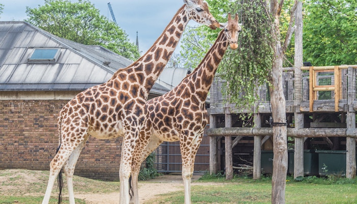 ZSL London Zoo tickets