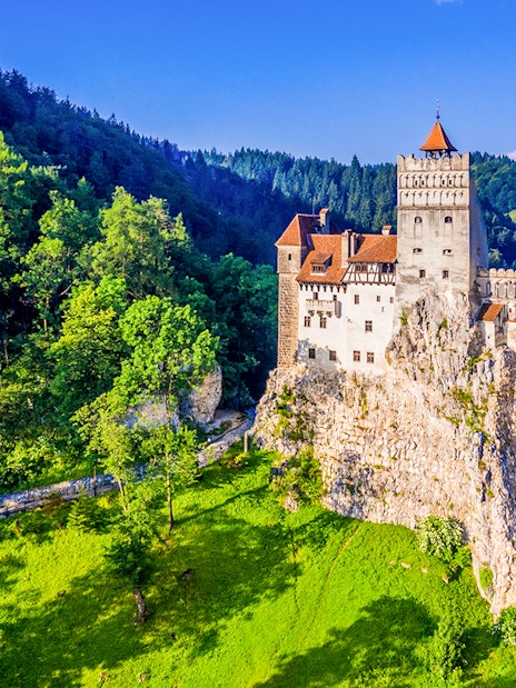 Bran Castle surrounded by lush green forest in Transylvania, Romania.