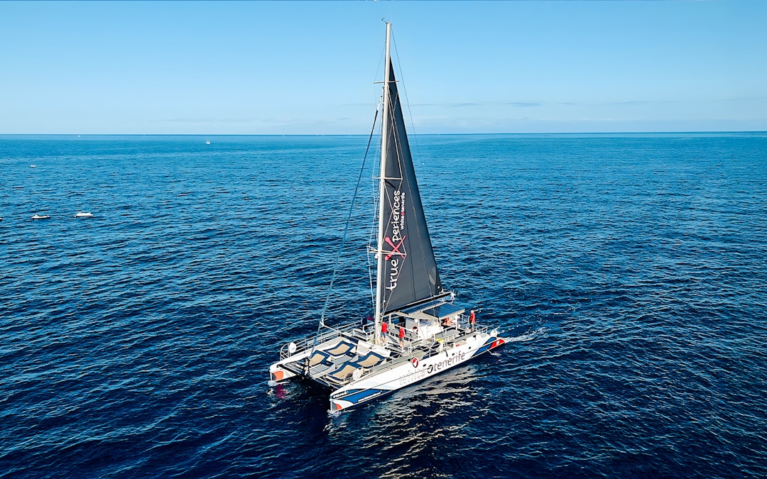 Catamaran sailing on open ocean for whale and dolphin watching cruise.