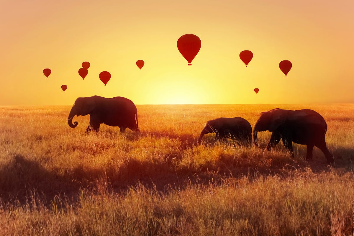 Serengeti National Park