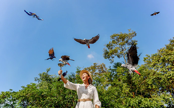 Lady feeding parrots at Bird Paradise, Singapore with trees in the background.