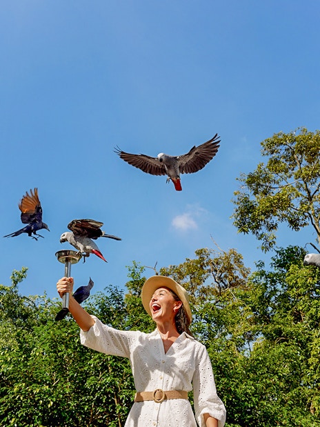 Lady feeding parrots at Bird Paradise, Singapore with trees in the background.