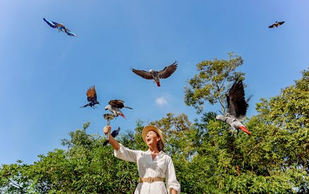 kombiticket: vogelparadies + tickets für den zoo von singapur-2