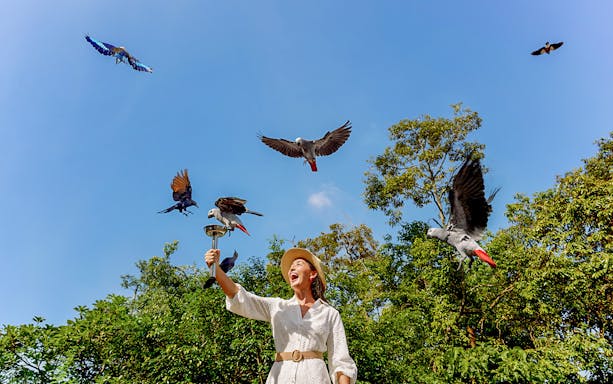 Lady feeding parrots at Bird Paradise, Singapore with trees in the background.