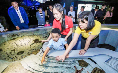 Child interacting with touch pool at Aquaria Phuket, surrounded by adults.