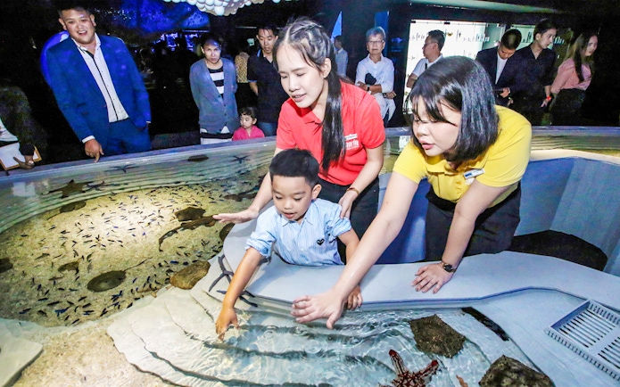 Child interacting with touch pool at Aquaria Phuket, surrounded by adults.