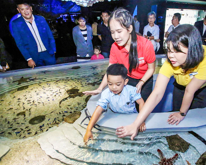 Aquaria Phuket Tickets: Thai Residents