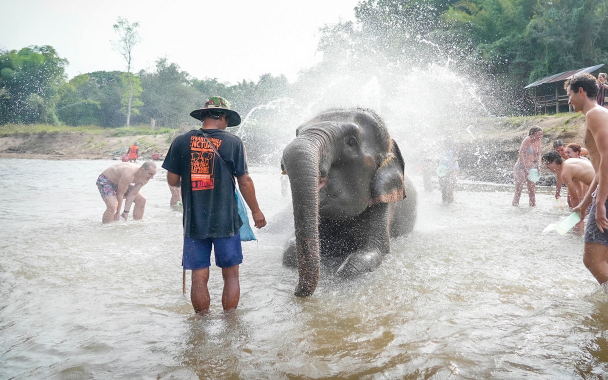 Visitors bathing an elephant at Elephant Jungle Sanctuary, Chiang Mai.