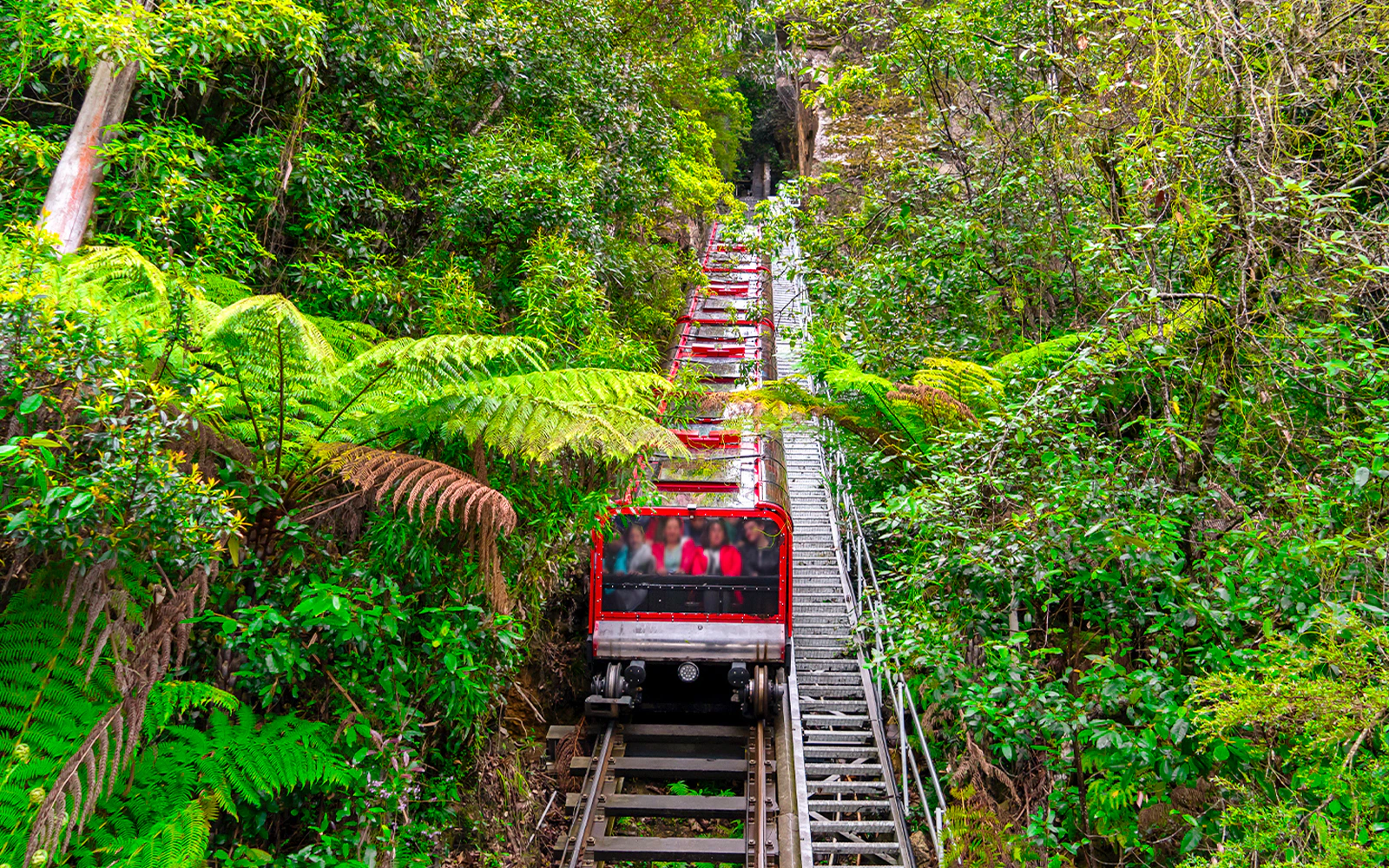 Scenic railway ride through lush forest at Blue Mountains, Sydney.