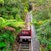 Giro in treno al Scenic World