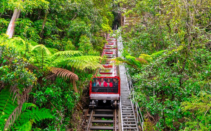 Railway ride through lush forest in Blue Mountains, Sydney.