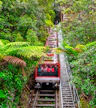 Scenic World