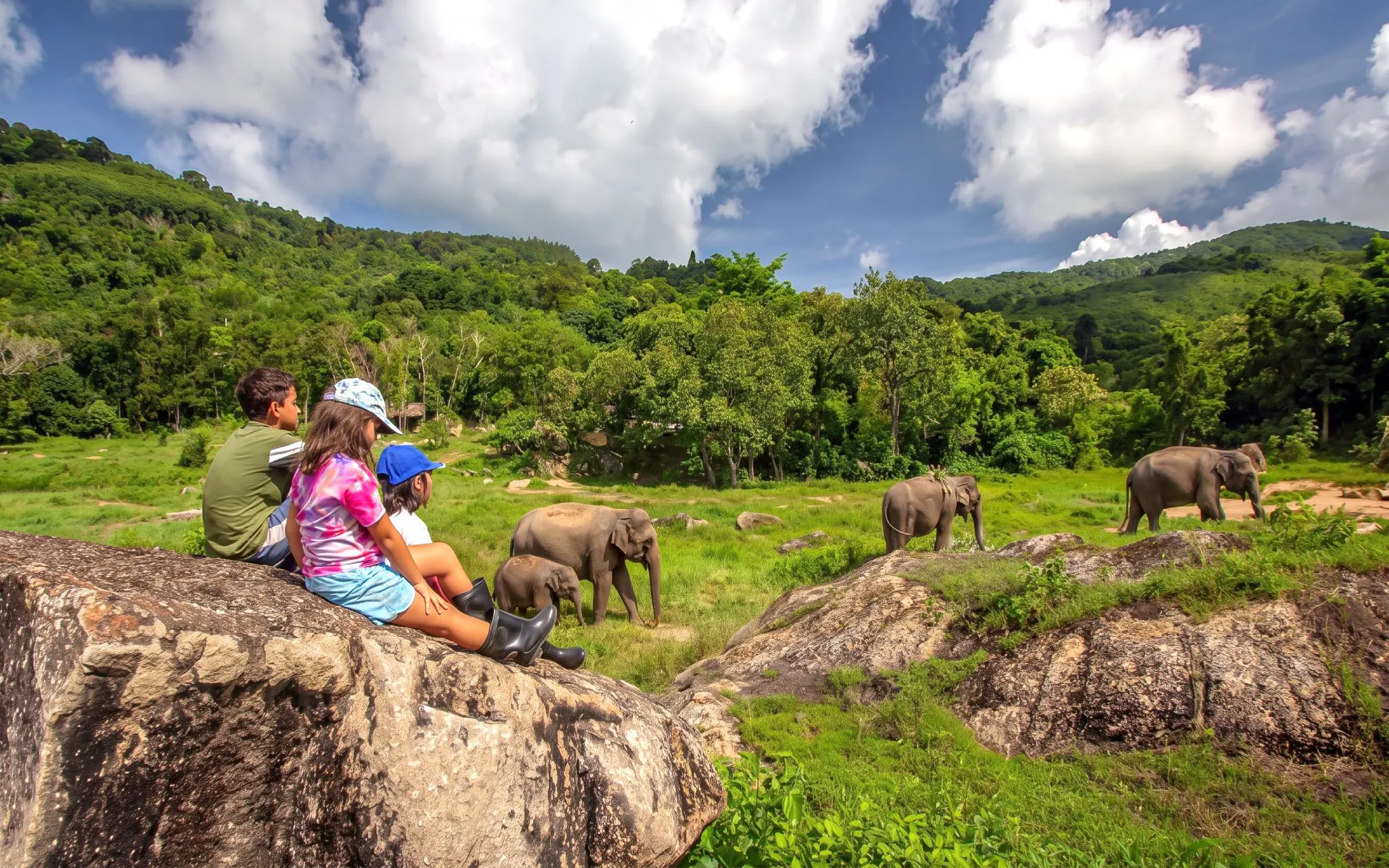 Children sitting on rocks watch elephants in a grassy field with a green hillside and cloudy sky.