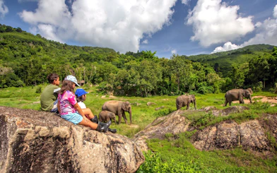Children sitting on rocks watch elephants in a grassy field with a green hillside and cloudy sky.