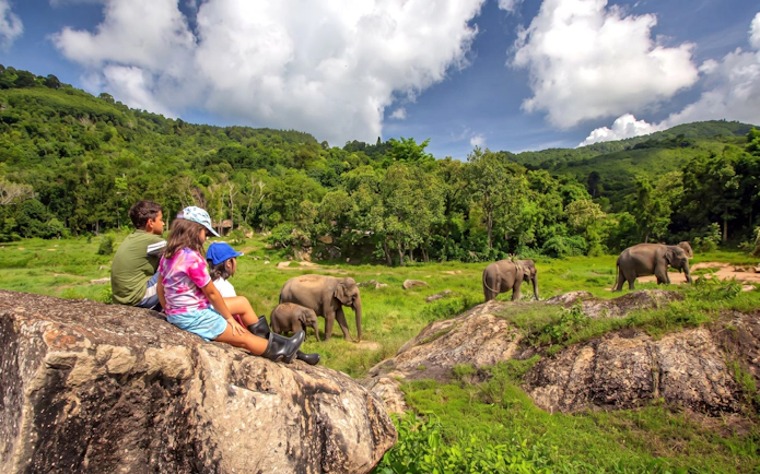 Children sitting on rocks watch elephants in a grassy field with a green hillside and cloudy sky.