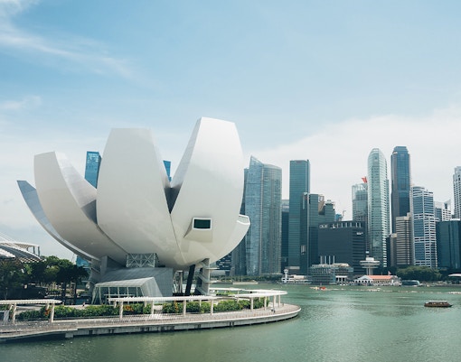 ArtScience Museum in Singapore with lotus-inspired architecture against a city skyline.