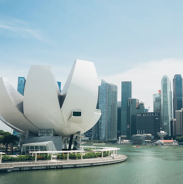 ArtScience Museum Opening Hours to Help Plan Your Experience