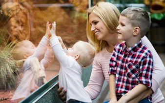 Tourists observing insect in terrarium at Prague Zoo.