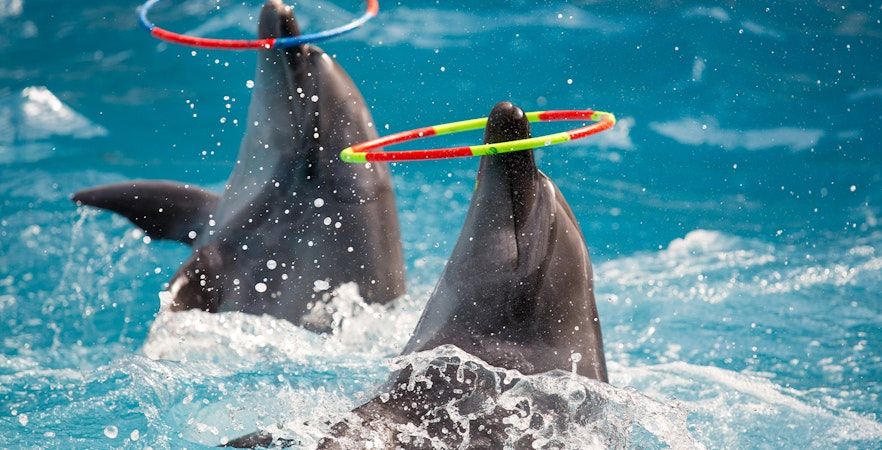 Zoomarine Algarve tickets