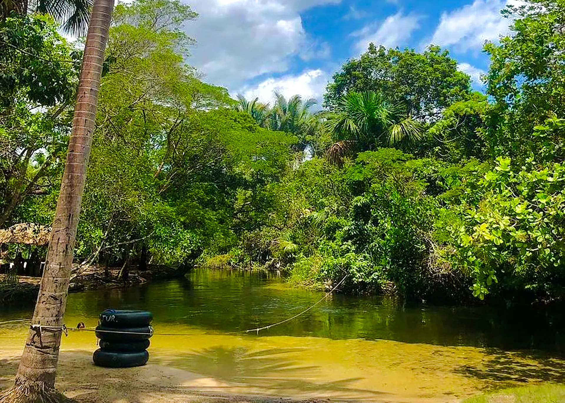 Tubing area in Cardosa, Barreirinhas with lush greenery and river, Sao Paulo transport tour.