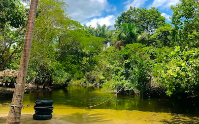 Tubing area in Cardosa, Barreirinhas with lush greenery and river, Sao Paulo transport tour.