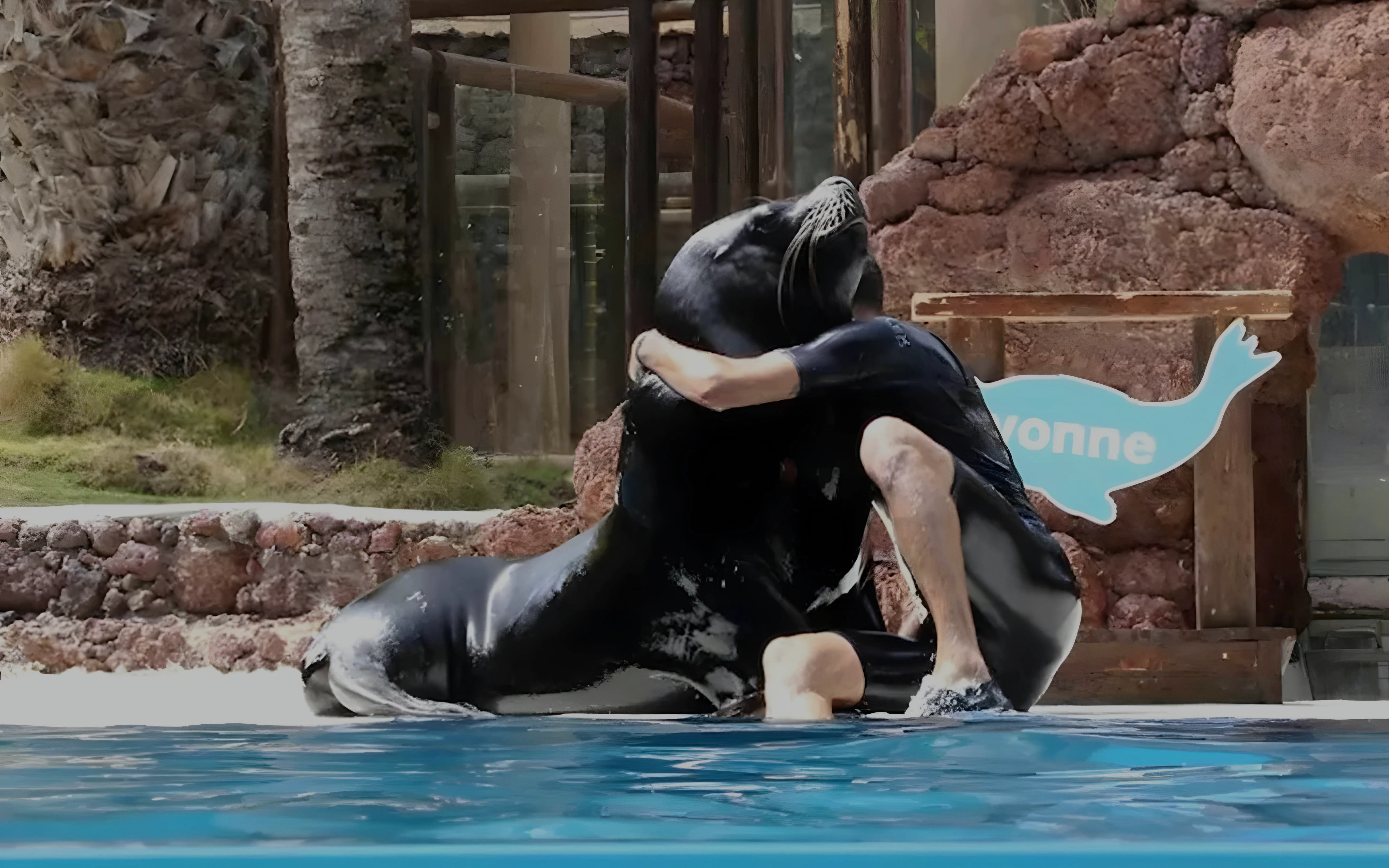 Sea lion interacting with trainer at Oasis Wildlife show.