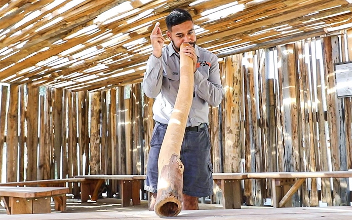 Man playing didgeridoo at Sydney Zoo, showcasing Aboriginal culture.